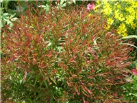 b92e7639-Picture 6096.jpg